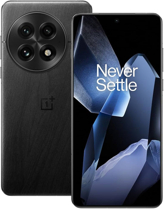 OnePlus13